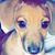 Athena Elliott's profile image