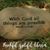 Sheila Andrews Vasicek's profile image