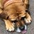 Terri Barker Runte's profile image