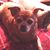 Donald Watts's profile image