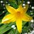 Laura Mazich's profile image