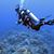 Paulino Castillo's profile image