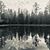 Carol VanBeek's profile image