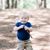 Tammy Eldridge-Botkin's profile image