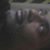 Samuel T Dyer Sr.'s profile image