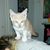 Tiffany Tunstall's profile image