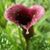 Dawn Schuett's profile image