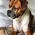 Brenda Turner's profile image