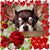 Sabrina Childs's profile image