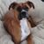 Oliver Camey's profile image