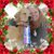 Jenny McCarthy's profile image
