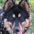 Ruth Turner Waln's profile image