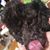 Penny Wilson's profile image