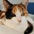 Linda Steelhammer Eliason's profile image