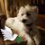 Albert Witrado's profile image