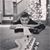 Bambi Boothe Warner's profile image