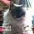 Christy VanDyke's profile image