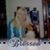Sandra Brown's profile image