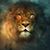 Jeffry Wayne Rivers's profile image