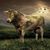 Richard Shover's profile image