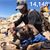 Chris Beardsley's profile image