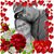 Jennifer Stokes's profile image
