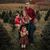 Melody Adamson's profile image