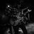 Terren Alexander Weirick's profile image