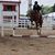 Amy Voss LaPointe's profile image