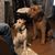 Gail Carr Colvin's profile image