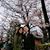 Virginia Liao's profile image