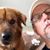 Tim Wolfgang's profile image