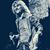 Steve Whiteman's profile image