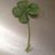 Lisa Kay Dozier's profile image
