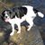 Brian Franklin's profile image