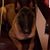 Dewayne David's profile image