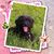 Doris Dunning's profile image