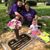 Nichole Broyles's profile image