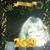 Lizbeth Gibson's profile image