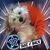 Suzanne Stevens's profile image