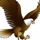 David M.'s profile image