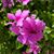 Angie Cisco Richards's profile image