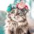 Maram Albalabseh's profile image