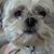 Carrie Steinruck's profile image