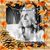 Jill Hollinger Holechek's profile image