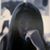 Anel Glez R's profile image