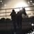 Aimee Spharler's profile image