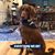 Dawn Jalbert's profile image