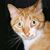 Justin C. Beck's profile image