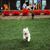 Janie Martin-West's profile image